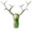 Greydwarf Shaman